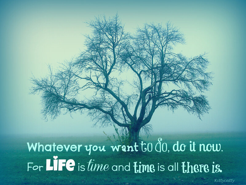 Bare Tree in Fog — Teal