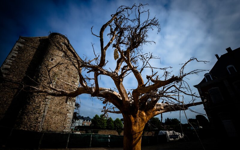 Bare tree in front of stone tower