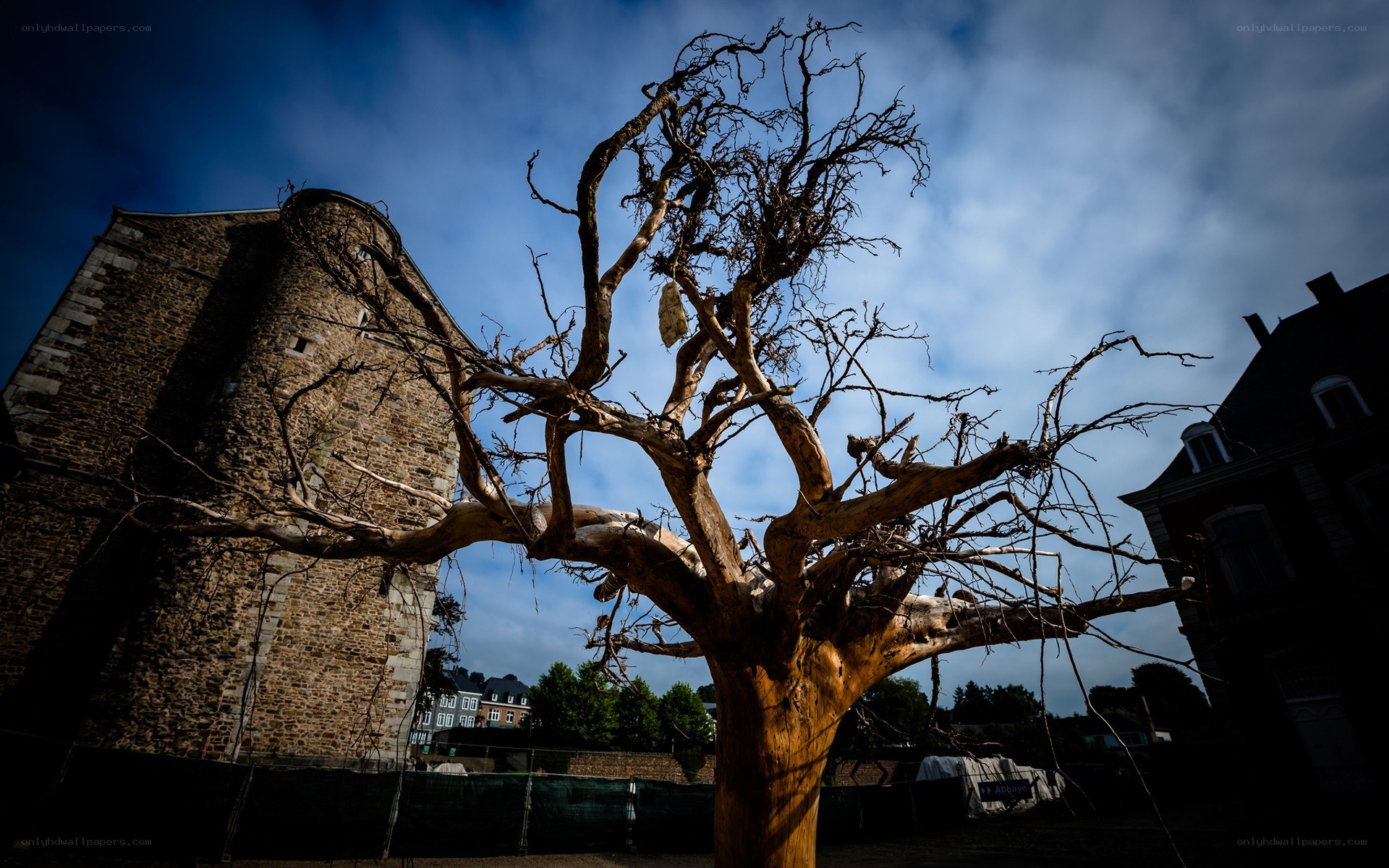 Bare tree in front of stone tower