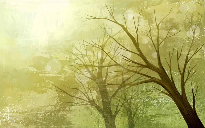 bare tree in golden light