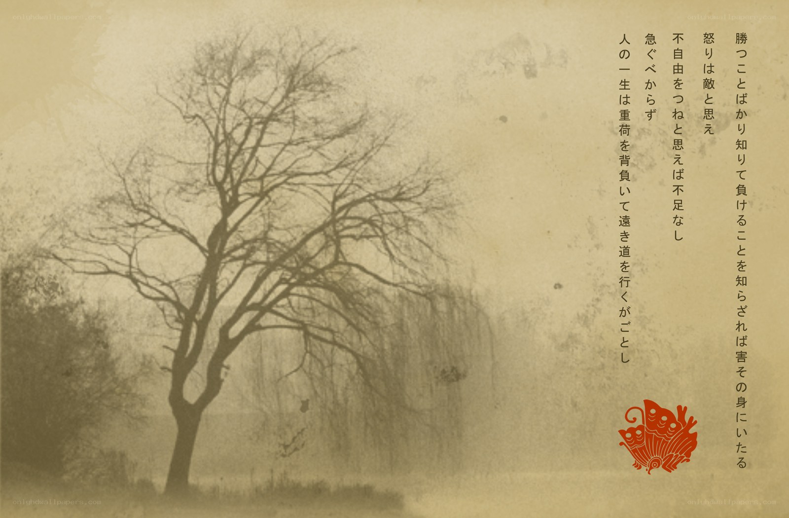 Bare tree in misty landscape