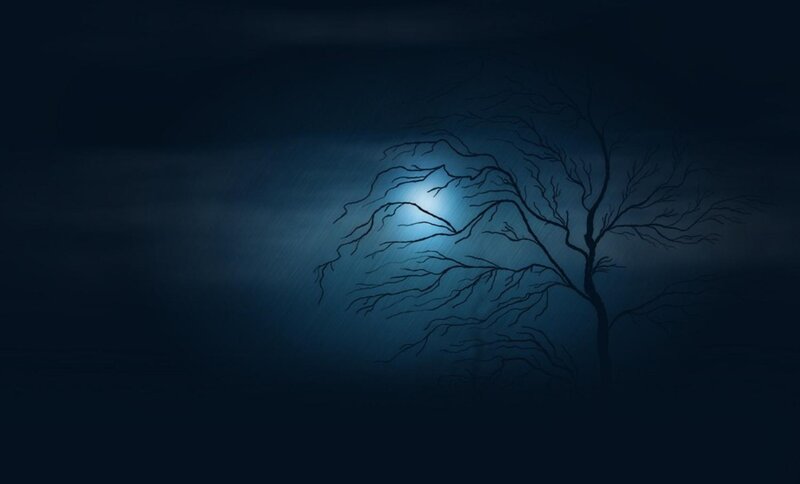 Bare Tree in Moonlight