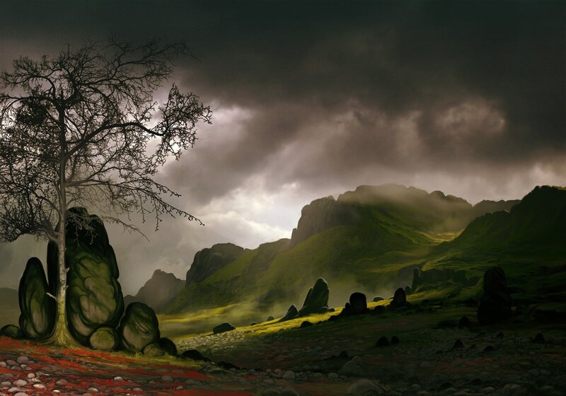 Bare Tree in Rocky Landscape