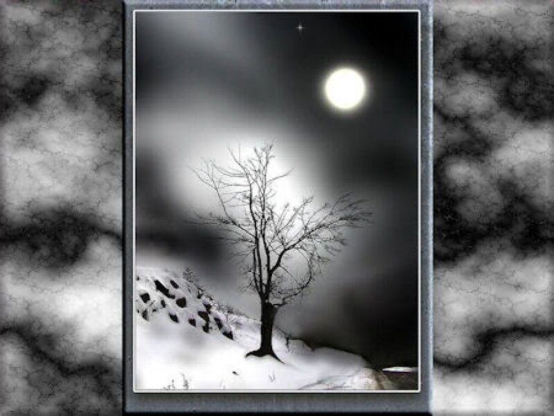 Bare Tree in Snow — Black, Dramatic