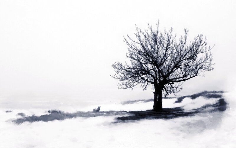 Bare Tree in Snow — Black, Solitary, Winter