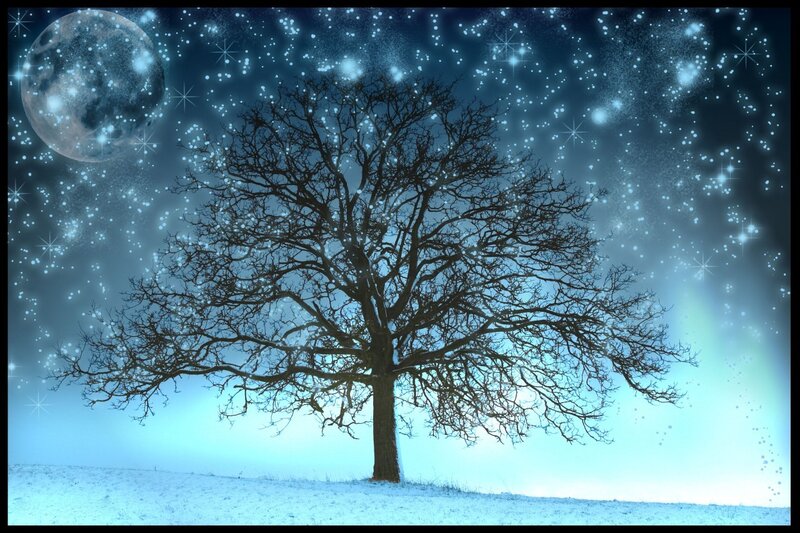 Bare Tree in Snow — Blue, Serene, Night, Digital Art