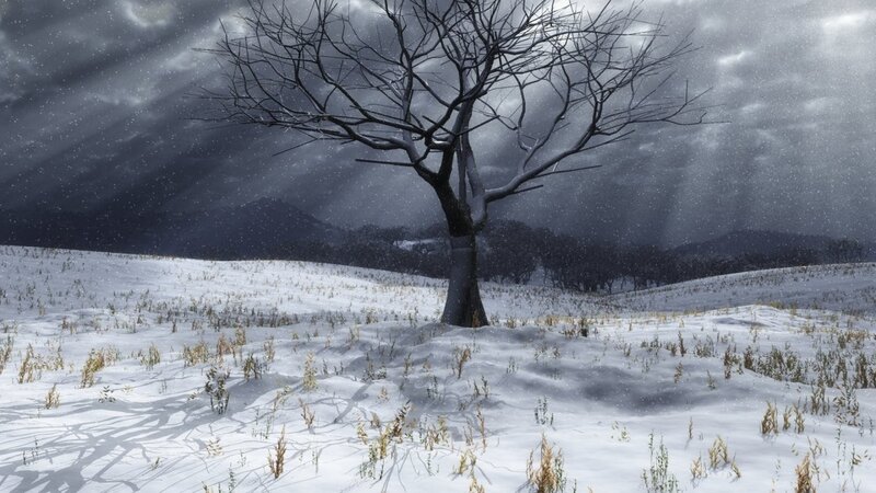 Bare Tree in Snow — White, Dramatic, Winter, Digital Art