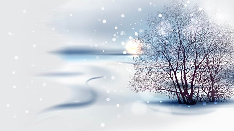 Bare Tree in Snow — White, Serene, Winter, Digital Art, Sun