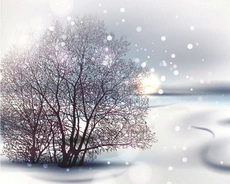 Bare Tree in Snow — White, Serene, Winter, Digital Art