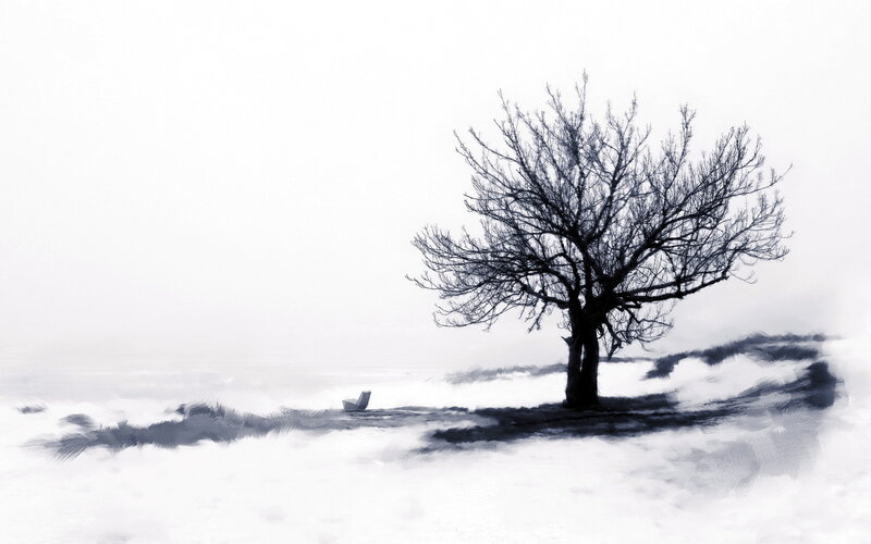 Bare Tree in Snow — White, Solitary