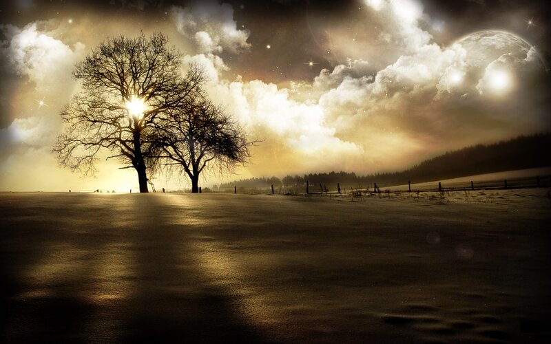 Bare Tree in Snowy Field — Brown