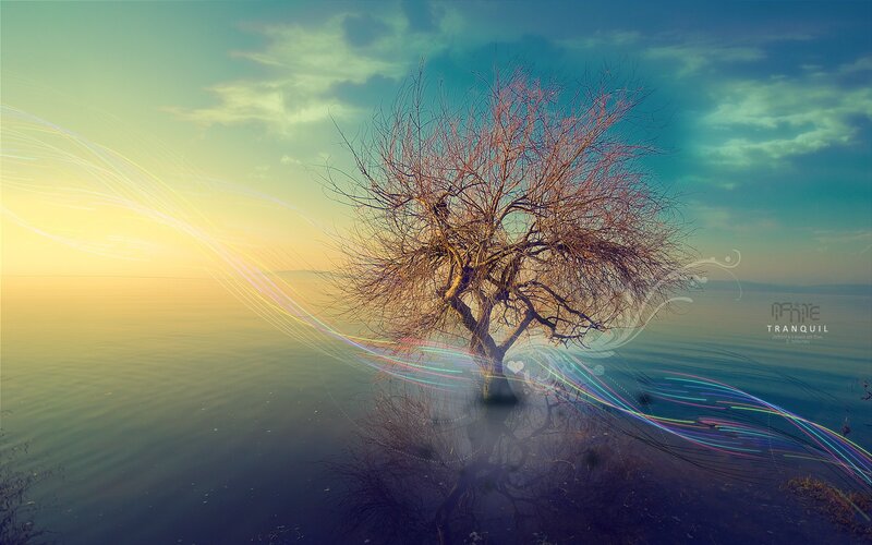 Bare Tree in Water — Blue, Tranquil