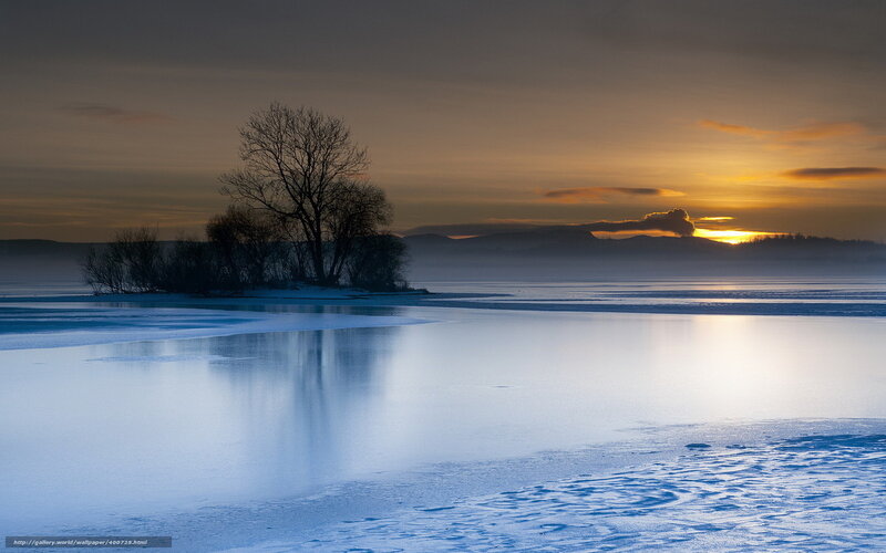 Bare Tree on Frozen Lake