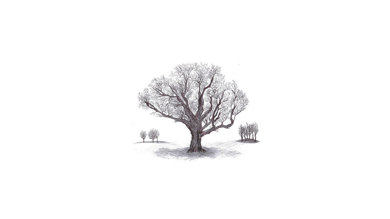 Bare Tree on Hill — Black