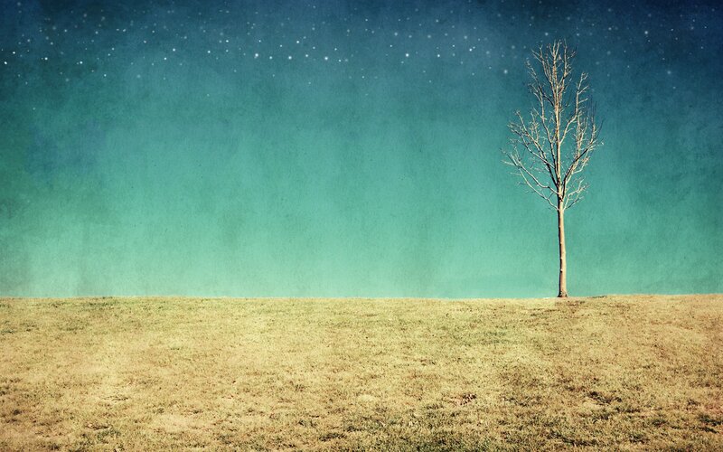 Bare Tree on Hill — Green, Serene