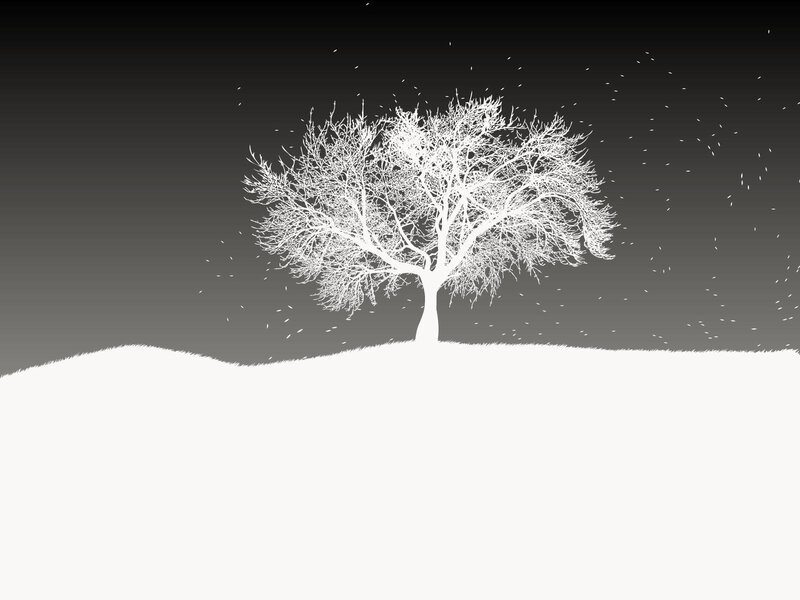 Bare Tree on Hill — White