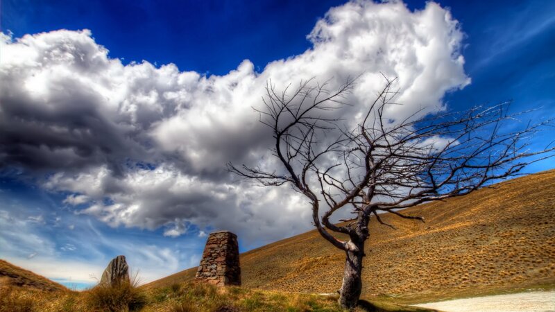 Bare Tree on Hillside — Blue, Dramatic, Afternoon
