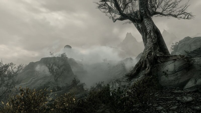 Bare Tree on Rocky Hill — Gray, Dreary, Misty
