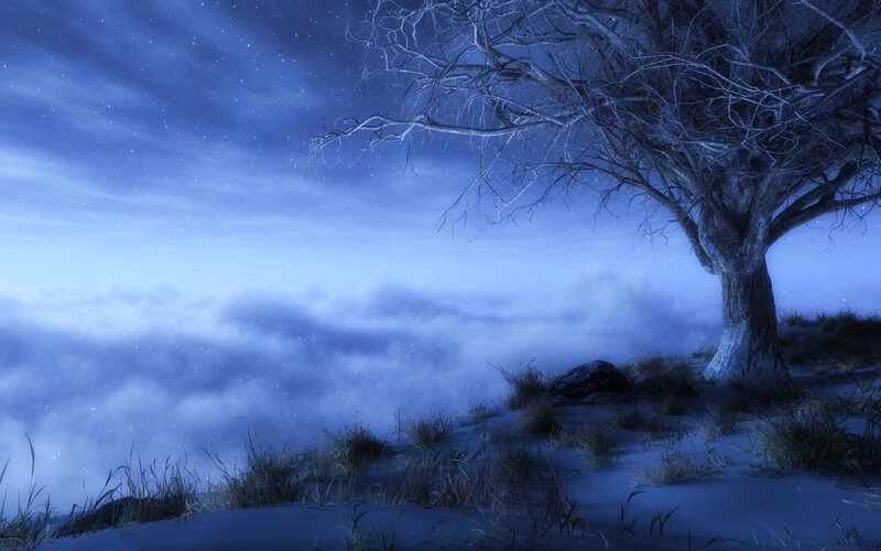 Bare Tree on Snowy Hill — Blue, Serene, Night, Digital Art, Snow, Clouds, Stars, White