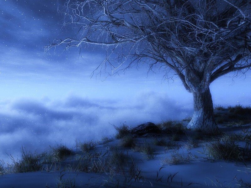 Bare Tree on Snowy Hill — Blue, Serene, Night, Digital Art