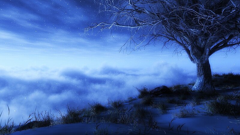 Bare Tree on Snowy Hill — Blue, Serene, Night