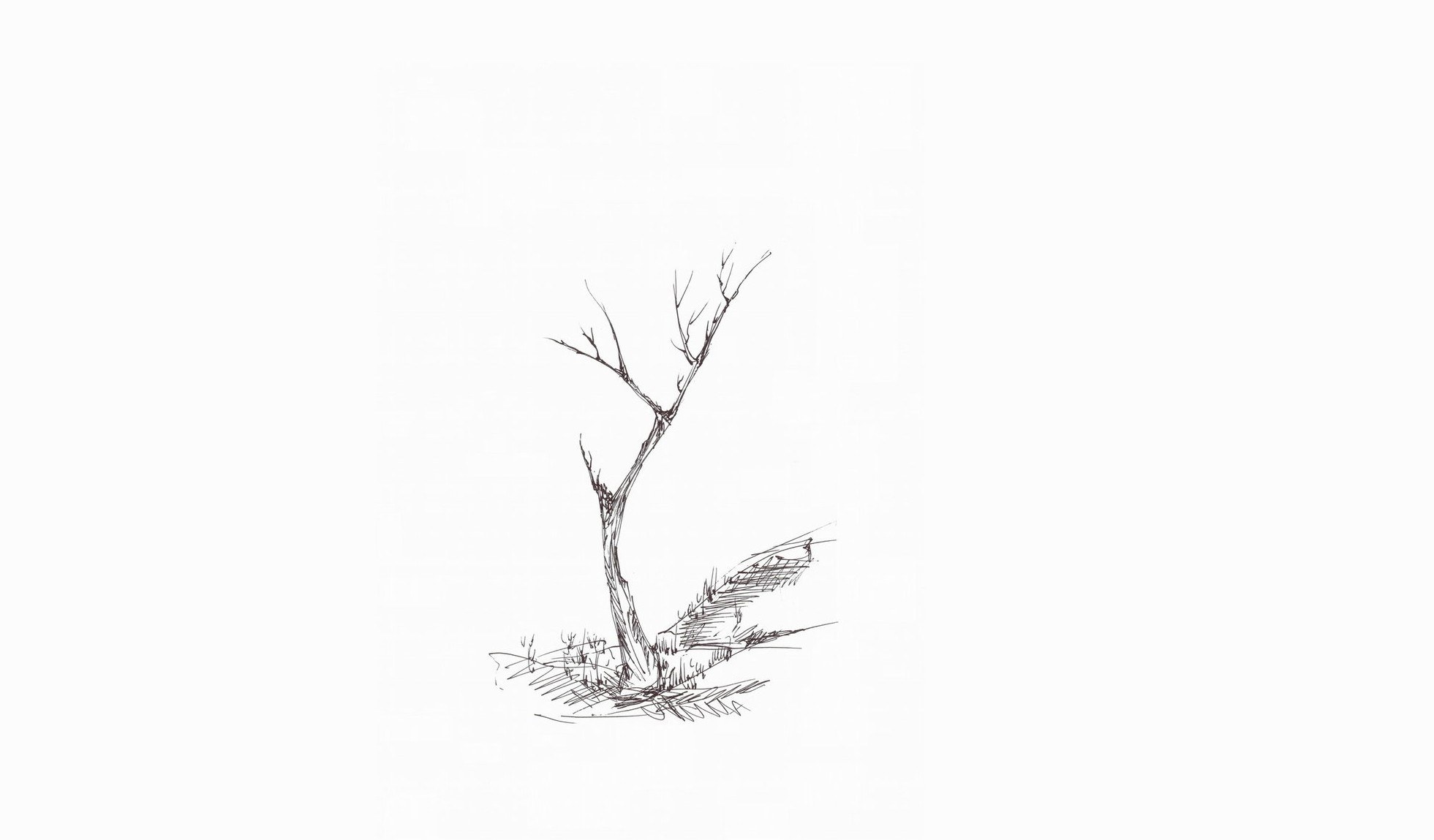 bare tree sketch