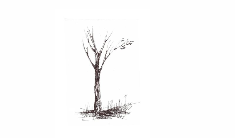 Bare Tree Sketch — Black