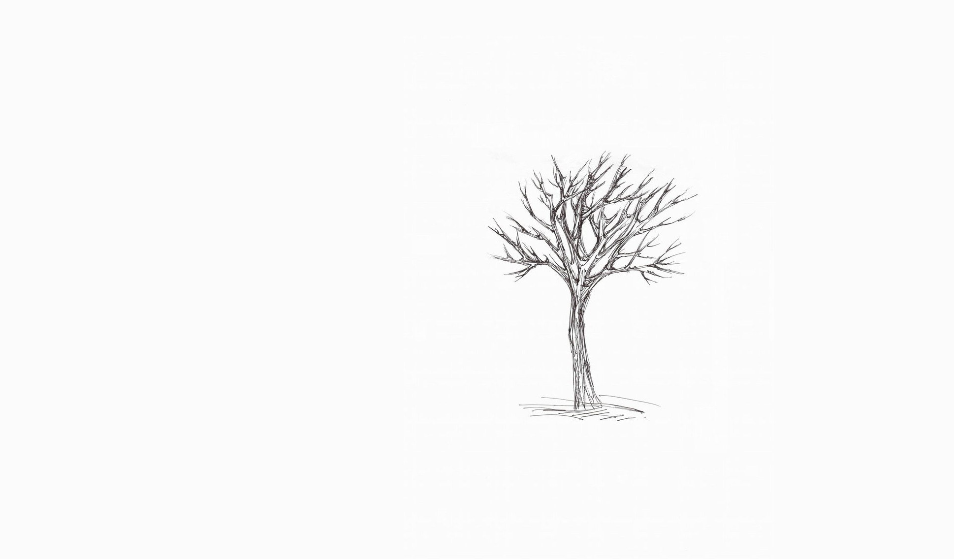 bare tree sketch