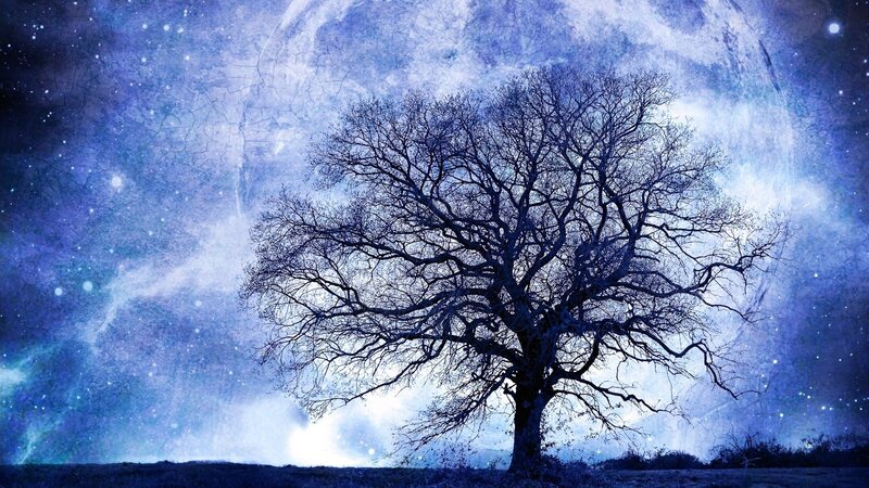 Bare Tree under Moon — Blue, Serene