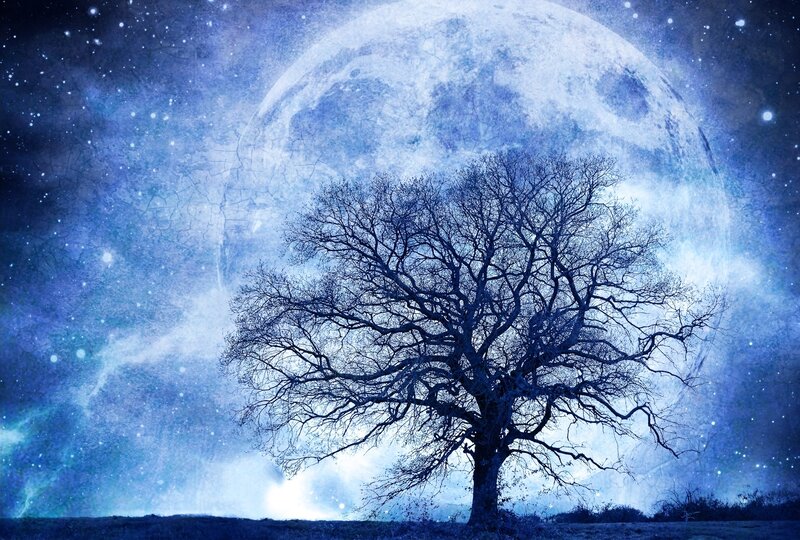 Bare Tree under Moon — Blue