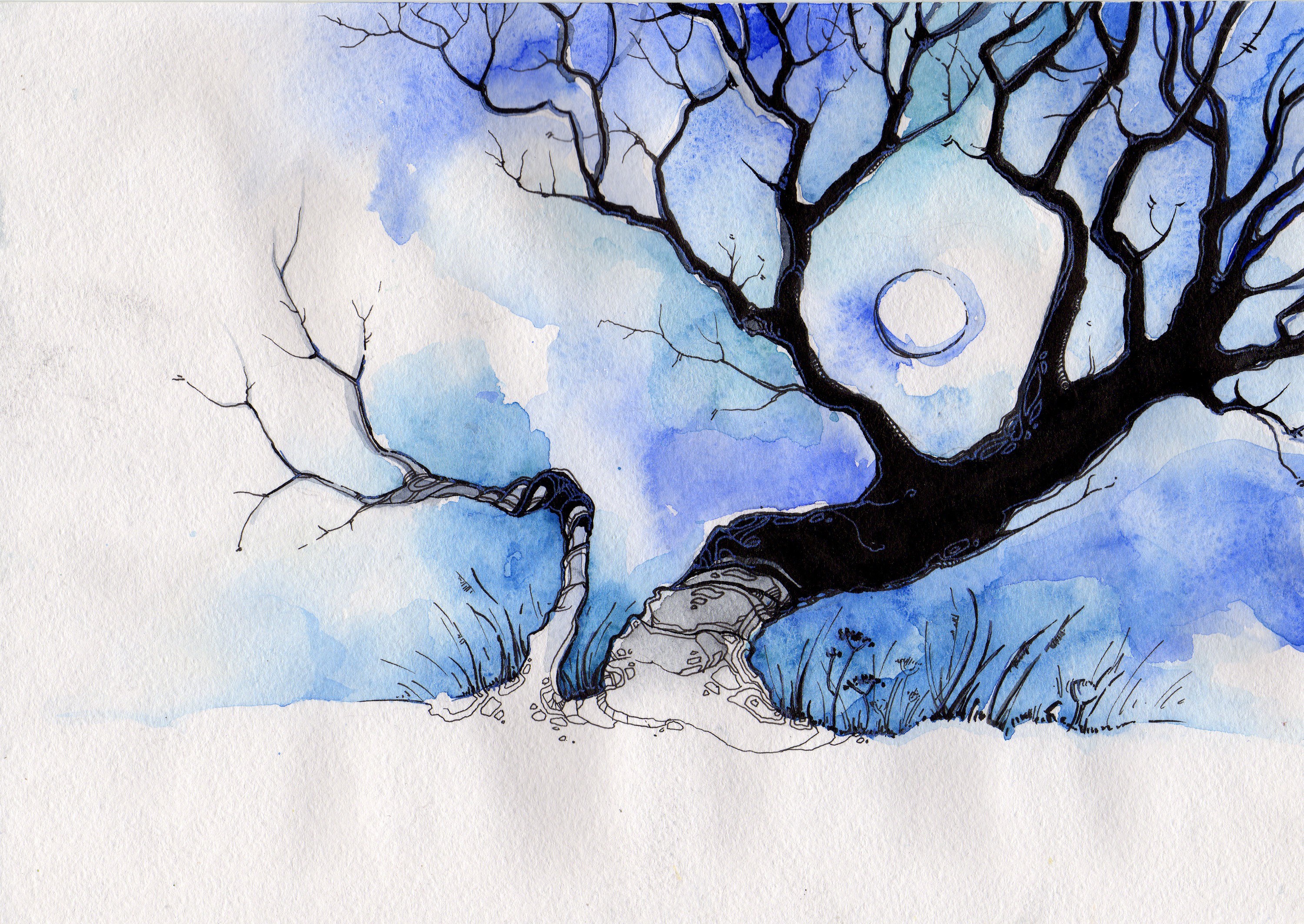 Bare tree under moonlight