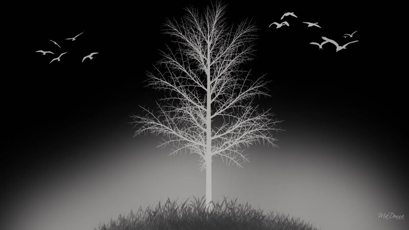 Bare Tree with Birds — Black