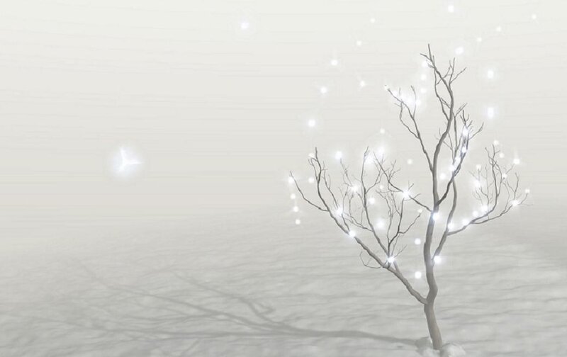 Bare Tree with Lights