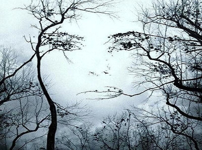 Bare trees against a cloudy sky