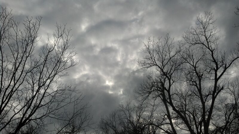 Bare Trees Against Cloudy Sky — Gray