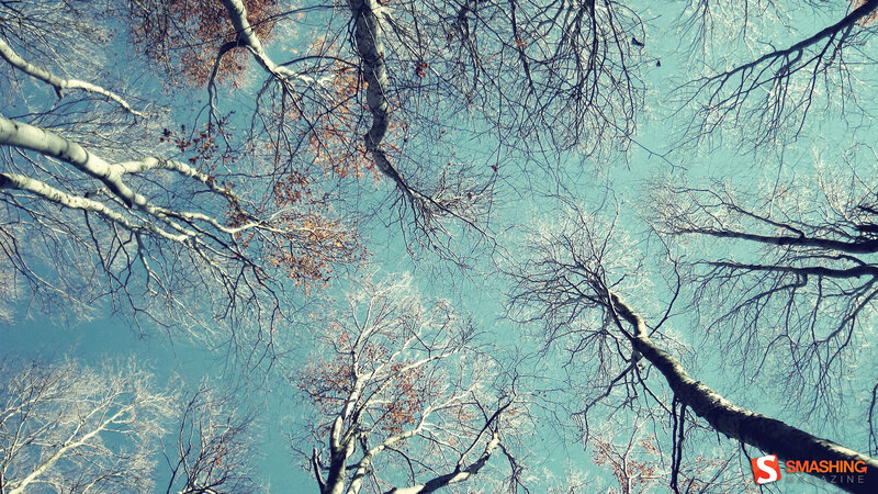 Bare Trees Against Sky — Blue, Serene