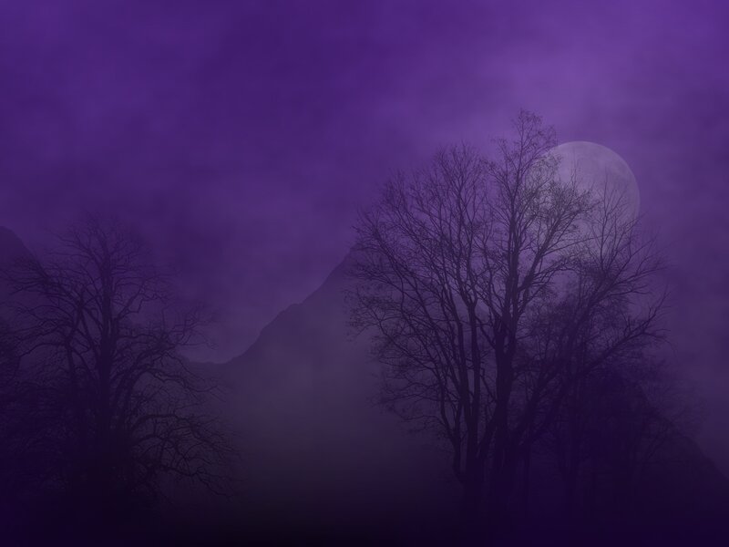 Bare Trees and Moon