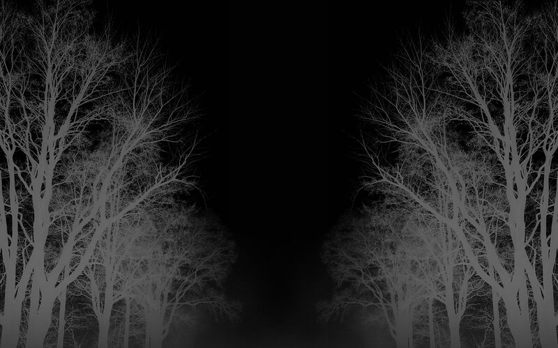 Bare Trees at Night — Black