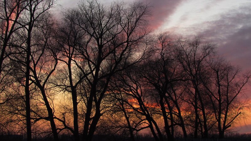 Bare Trees at Sunset — Orange, Dramatic, Photograph, Sky