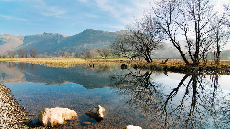 Bare Trees by Lake — Blue, Serene, Afternoon