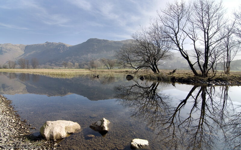 Bare Trees by Lake — Blue, Serene, Autumn