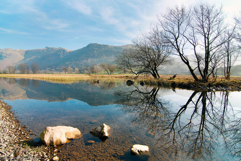 Bare Trees by Lake — Blue, Serene, Morning