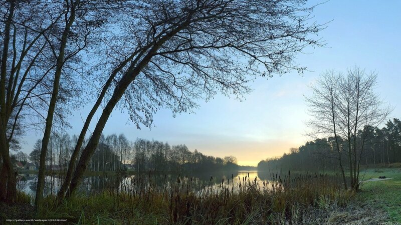 Bare Trees by Lake — Blue, Serene, Sunrise, Photograph