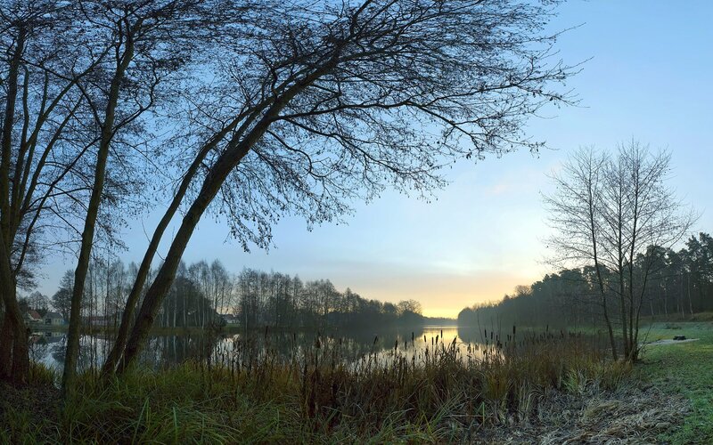 Bare Trees by Lake — Blue, Serene, Sunrise