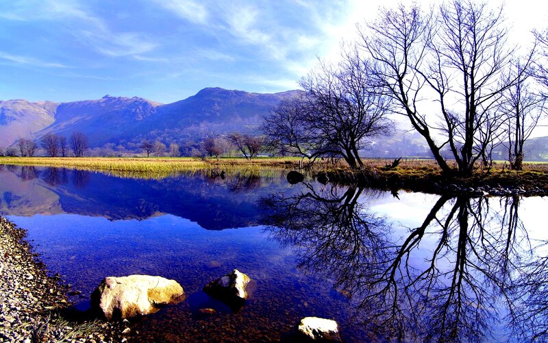 Bare Trees by Lake — Blue, Serene