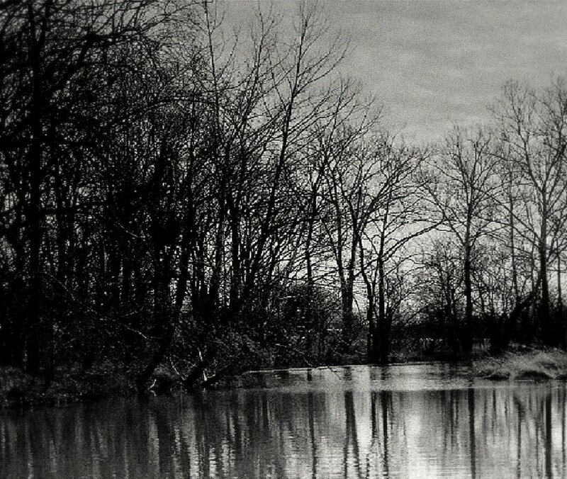 Bare Trees by River — Black