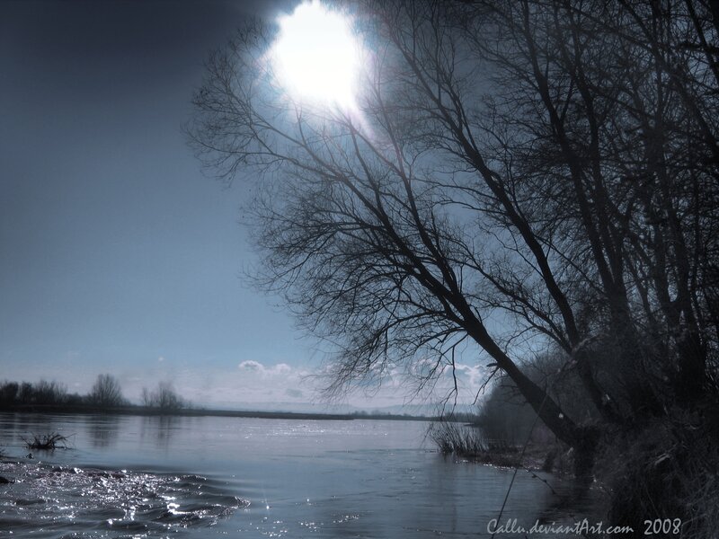 Bare Trees by River