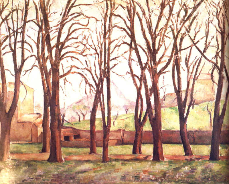 Bare Trees in a Park