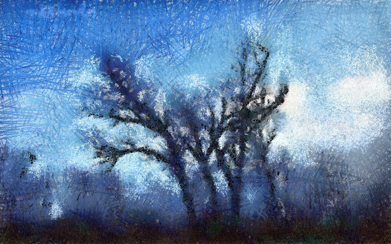 Bare Trees in Blue Mist