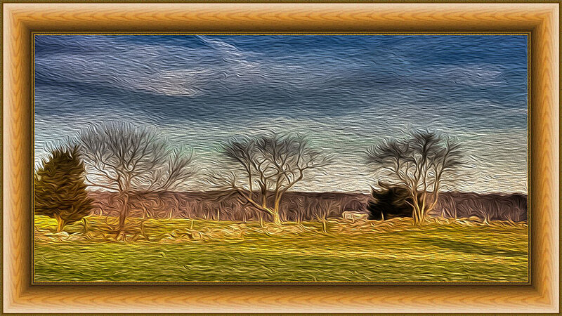 Bare Trees in Field — Green, Calm